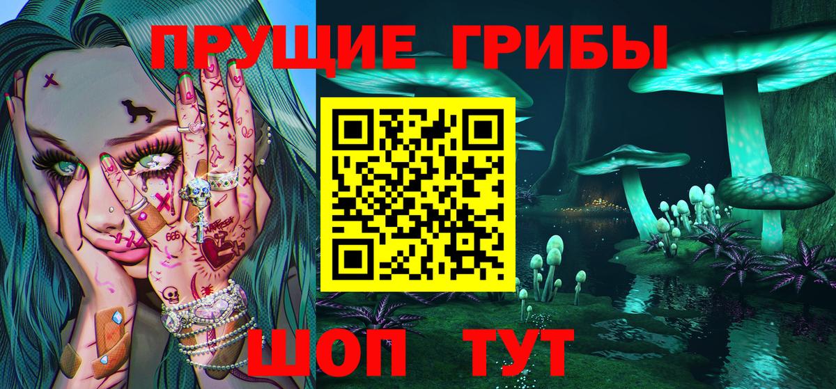 Галлюциногенные грибы Psilocybine cubensis  Вход с VPN  Псилоцибиновые грибы Psilocybine cubensis  Кольчугино 
